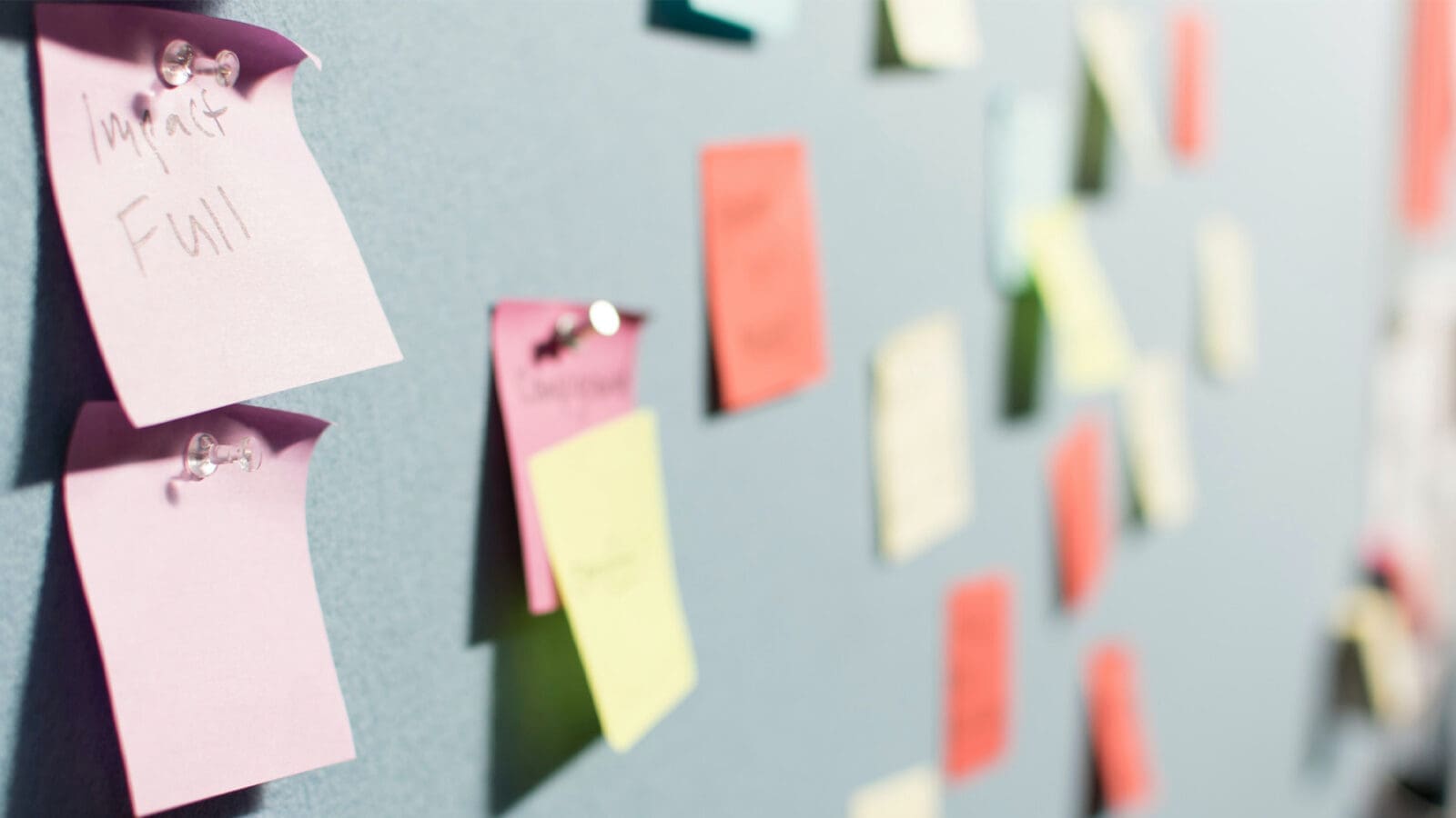 Sticky notes pinned to a wall